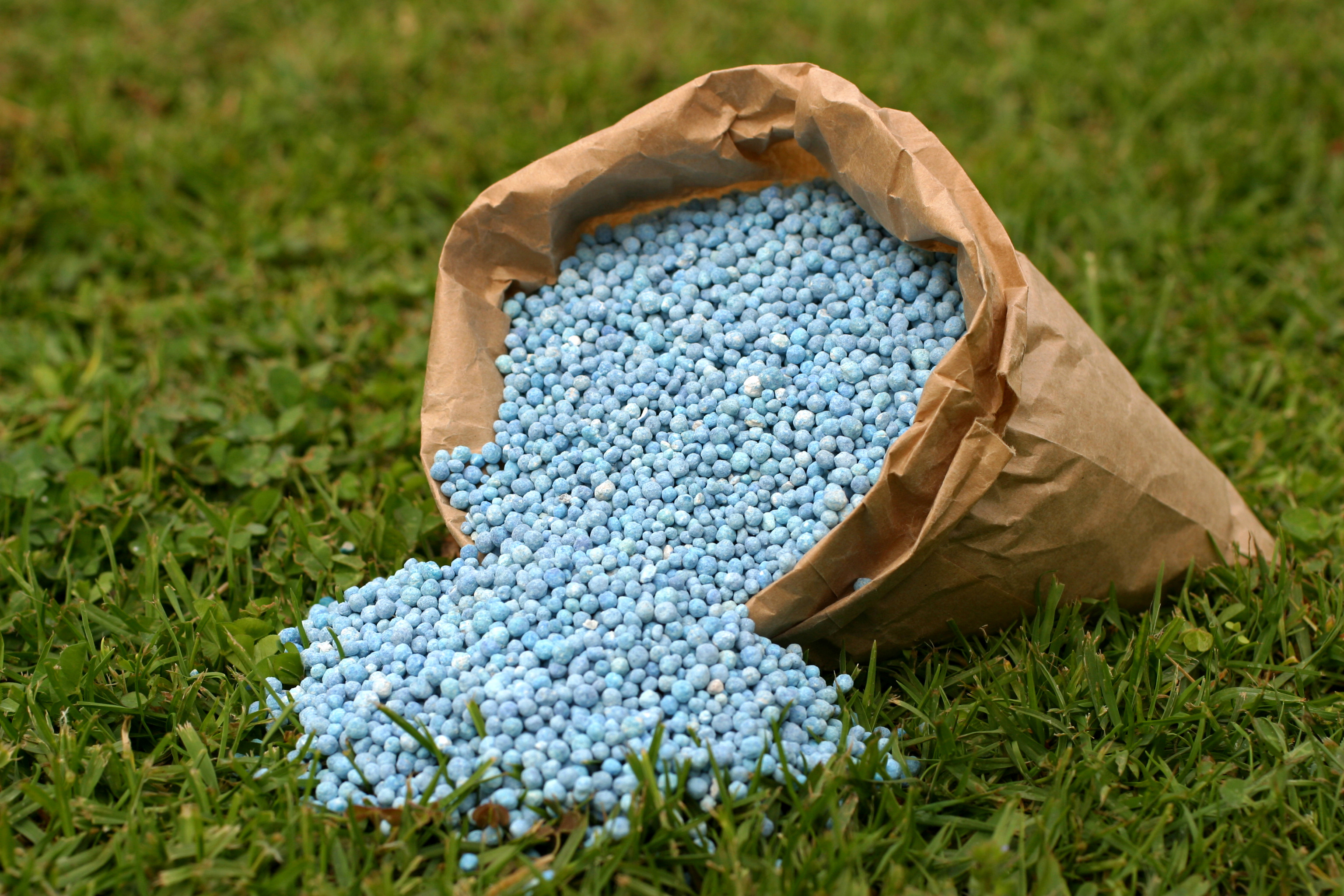 Rússia amplia cotas de exportação de fertilizantes até 2026