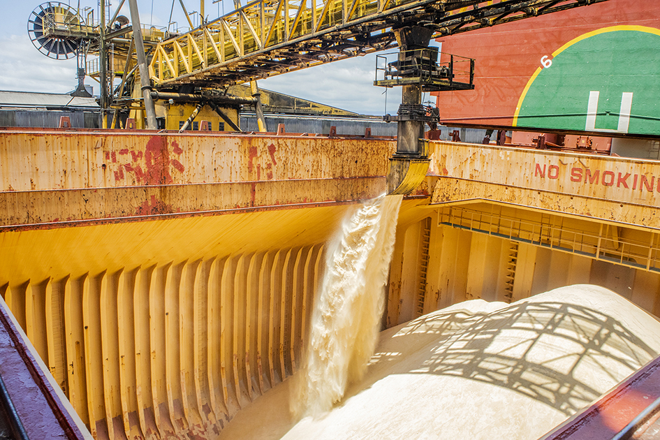 Açúcar: preço do frete até Santos tem leve aumento em setembro