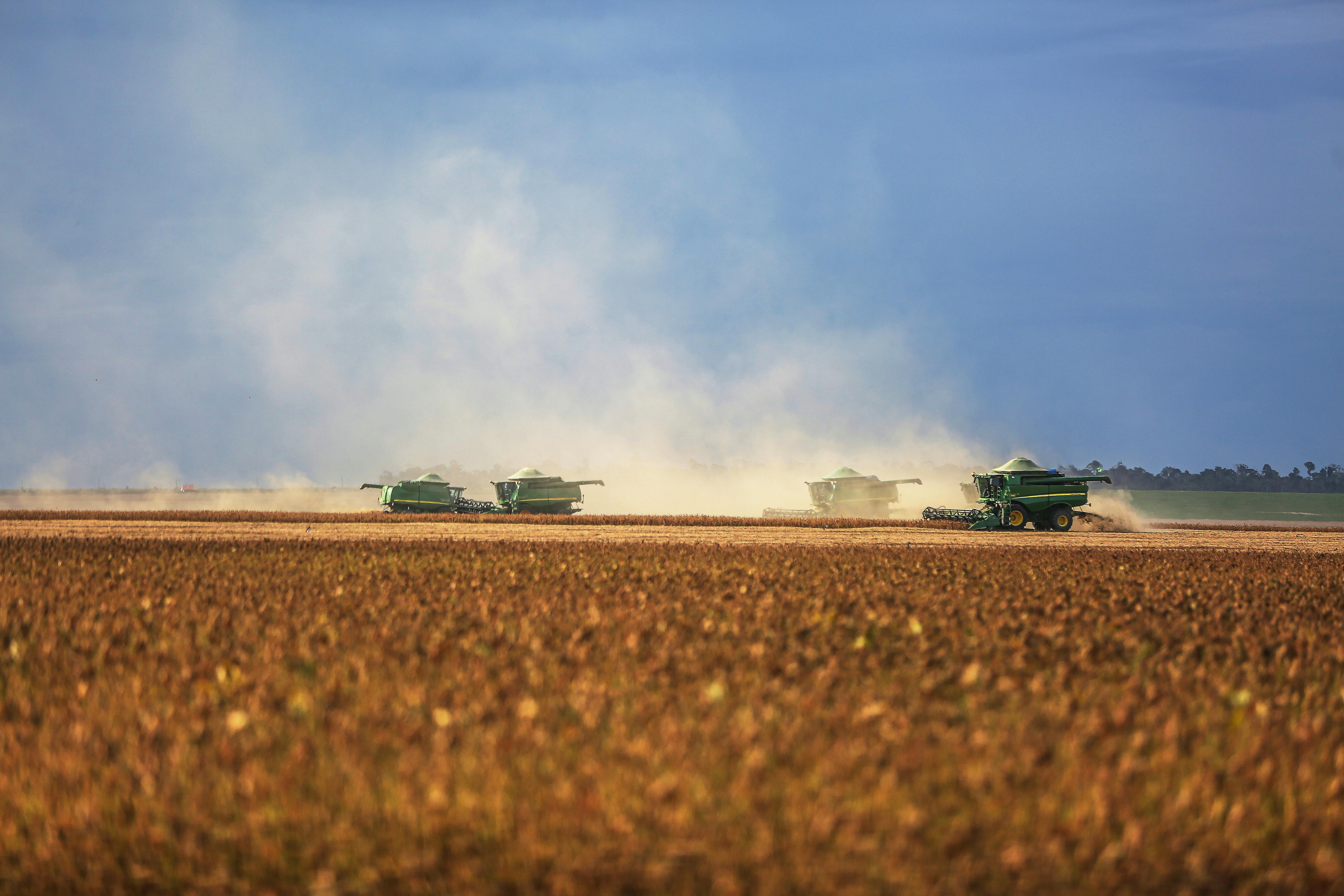 USDA eleva projeções para a safra 2025/26 de soja e milho dos Estados Unidos