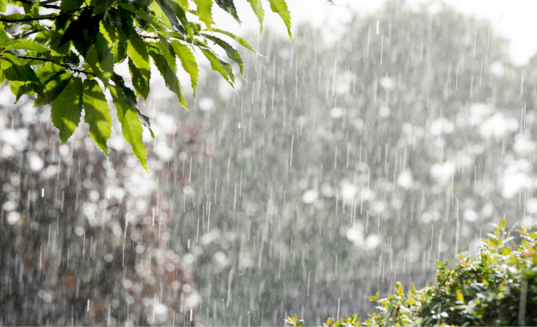 Após trégua do frio, previsão indica novas mudanças no clima