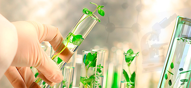 Lula destaca relevância da Embrapa para sucesso do agro brasileiro