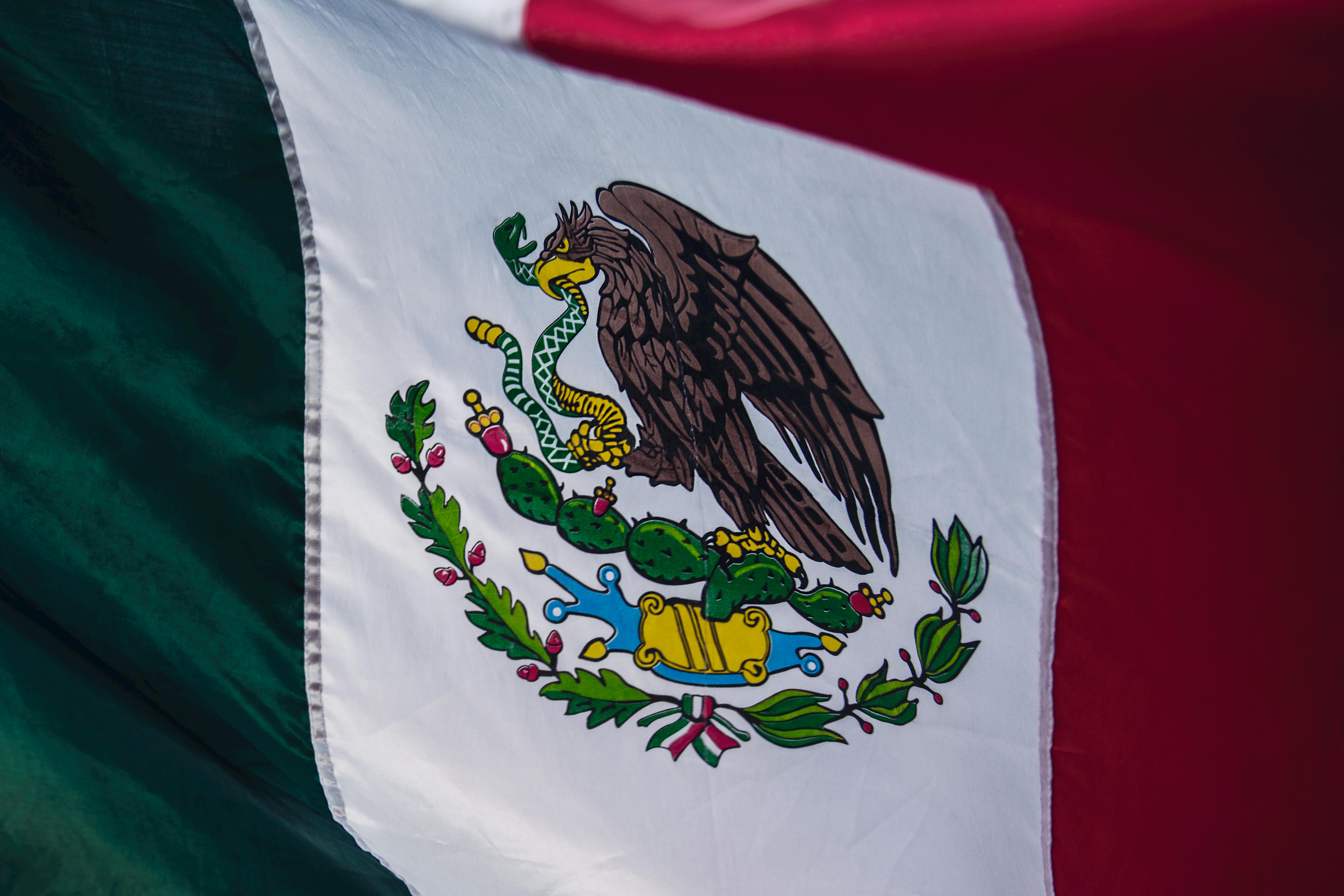 México espera erradicar Bicheira-Do-Novo-Mundo com fábrica de moscas estéreis