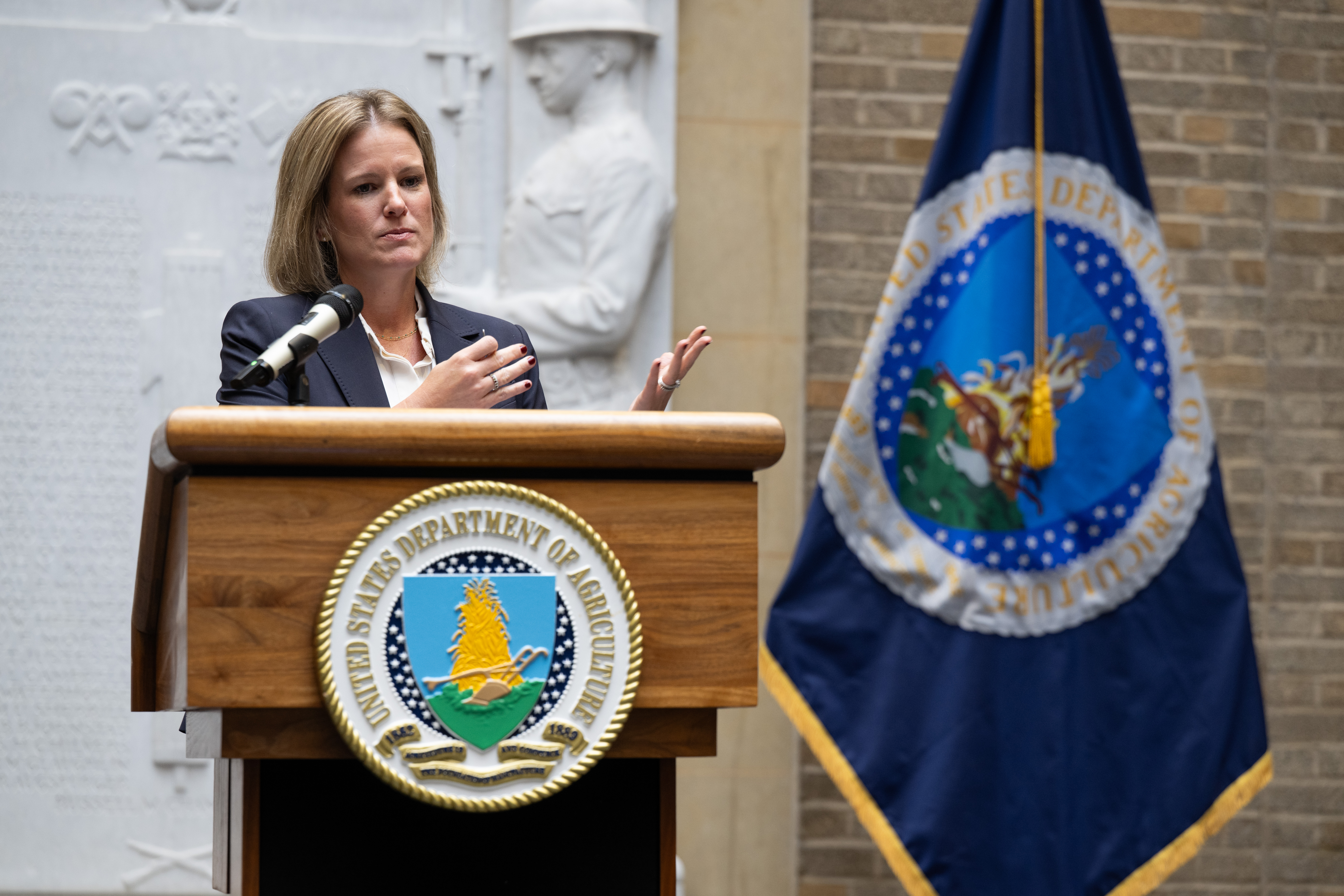 USDA anuncia plano de apoio ao setor agrícola dos EUA