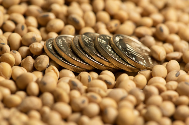Preços recebidos pelo produtor rural gaúcho recuam 2% em maio no comparativo mensal