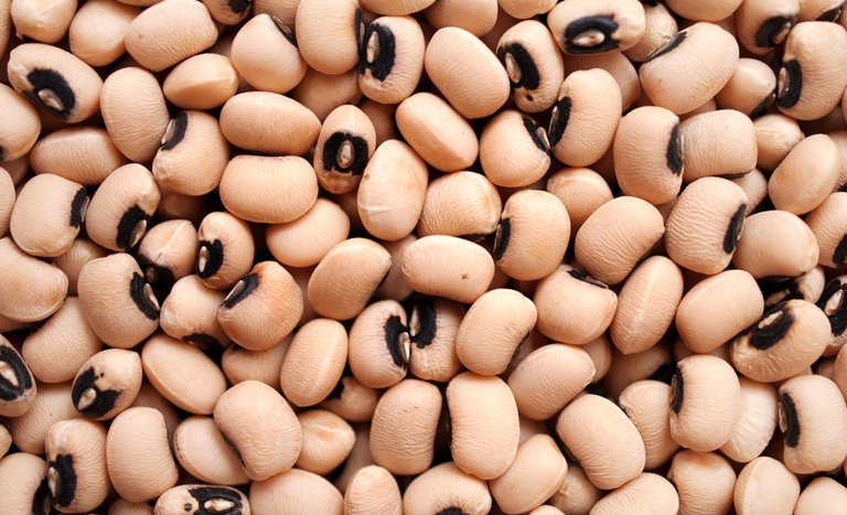 Índia e Rússia abrem mercados para produtos agrícolas do Brasil