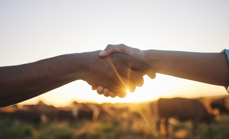 Fusões e aquisições no agro alcançam 60 operações em 2025 até novembro