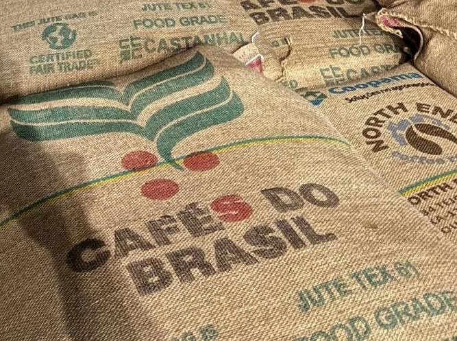 Embarques de café recuam 8,4% em maio no comparativo anual
