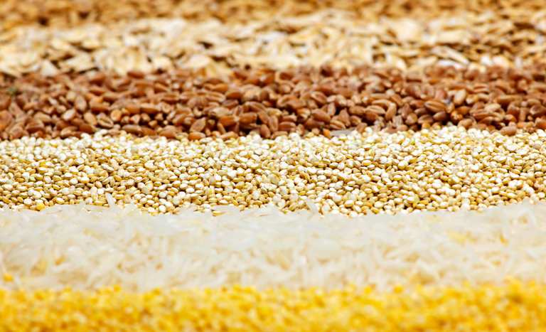 Preços globais dos cereais, açúcar e óleos vegetais sobem em julho, diz FAO