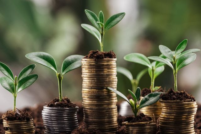 Plano Safra 2026/27 tem menos custeio e queda de 14,7% em recursos equalizados, diz FPA