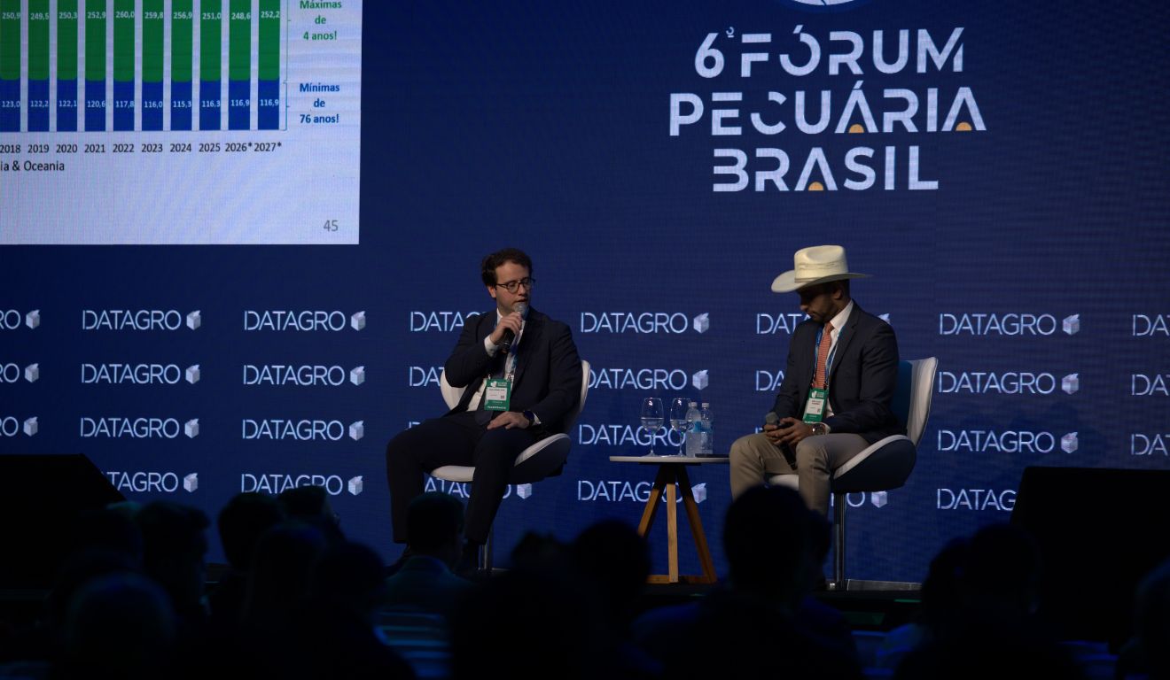 DATAGRO Pecuária projeta queda no abate e no consumo doméstico de carne bovina em 2027