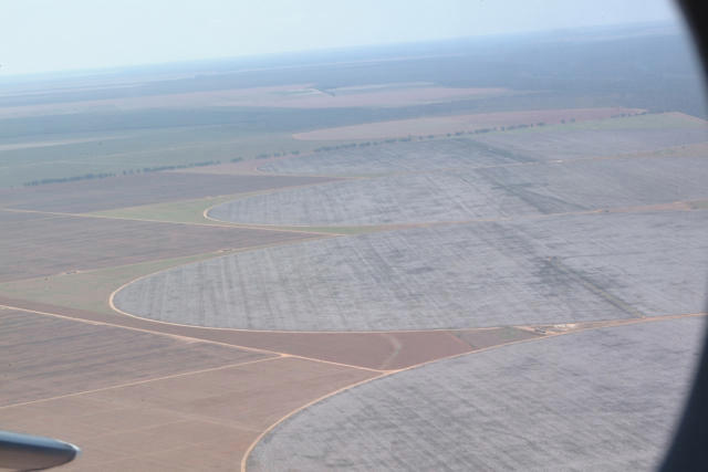 Turquia deve reduzir produção de algodão em 2025/26, aponta USDA