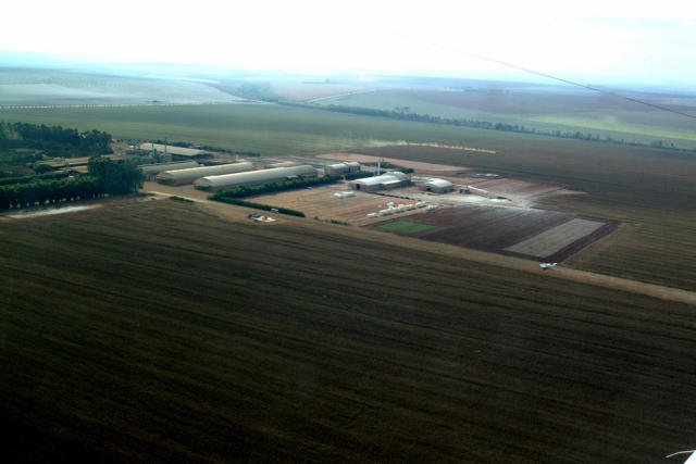 Safra 2025/26: USDA amplia produção de algodão da China para 7,512 mi de t