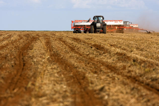 Colheita do algodão em MT é finalizada