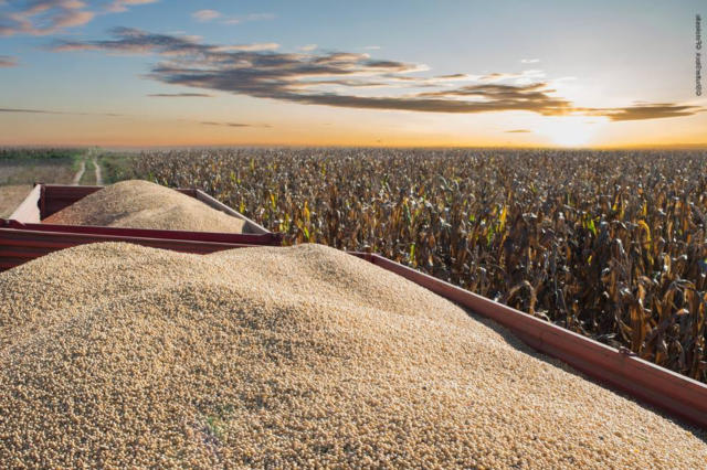 Primeira Chamada Grãos 19/09/2025