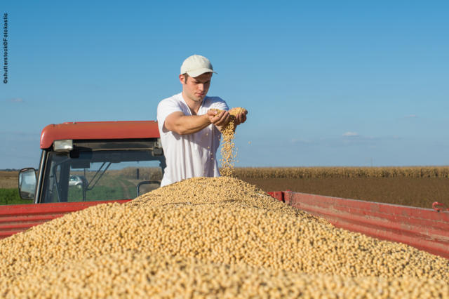 Plantio da safra 2025/26 de soja no Paraná chega a 52% da área projetada
