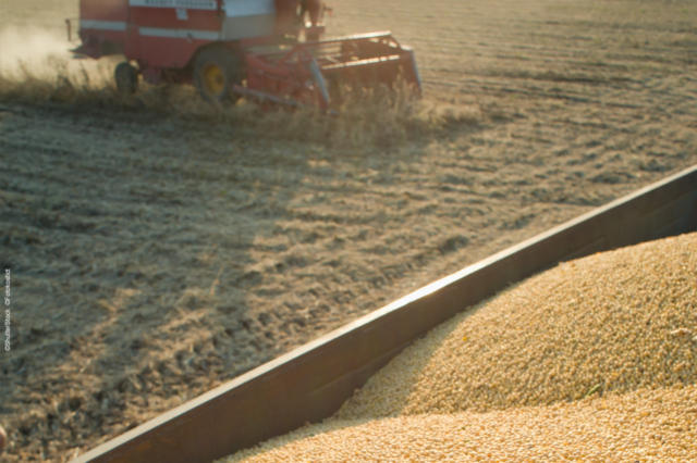 CBOT: Soja registra leve queda na manhã desta 4ª feira