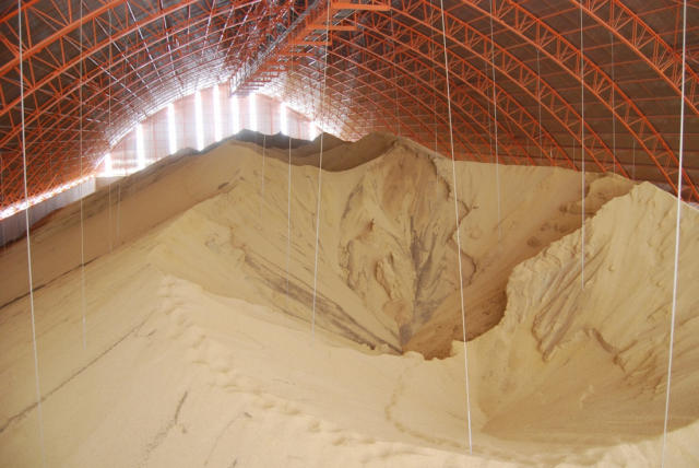 Importações chinesas de soja tiveram crescimento anual de 13,2% em setembro