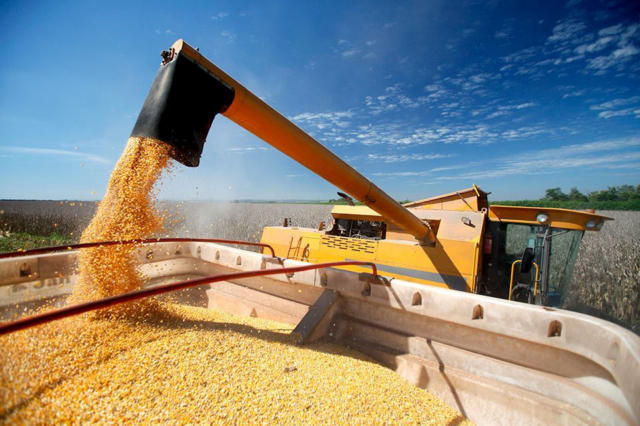 China adia compras de soja brasileira devido a altos prêmios