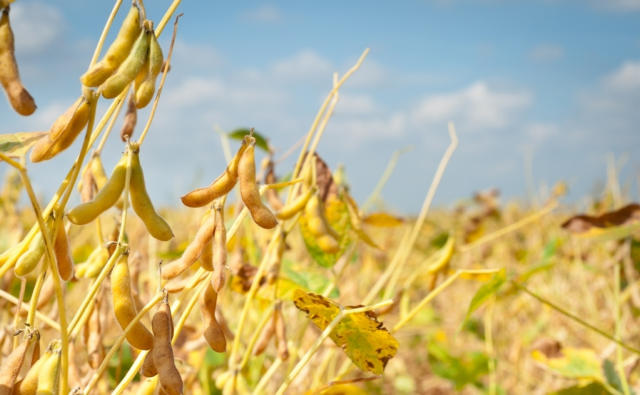 Primeira Chamada Multiculturas 03/12/2025