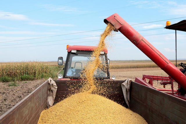 Primeira Chamada Grãos 17/12/2025