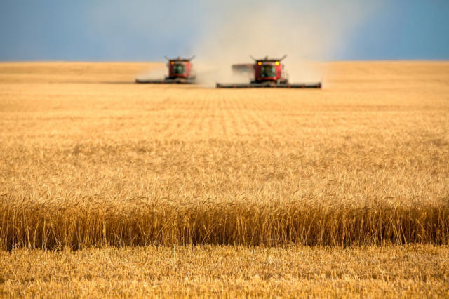 Trigo sobre mais de 3% nas bolsas dos EUA nesta 4ª feira