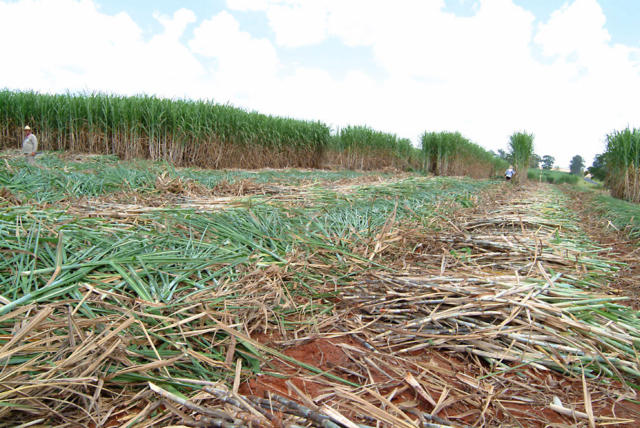 Embaixador André Corrêa do Lago será o presidente da COP30