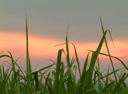 Petrobras: produção de petróleo e gás natural aumenta 2,4% em um ano