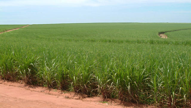 Importações de fertilizantes avançaram 31% em março de 2026