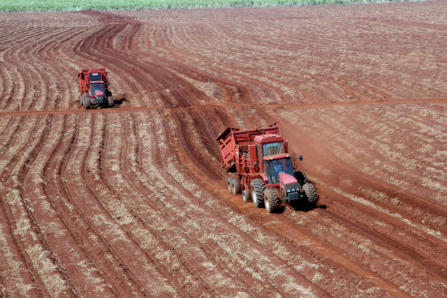 Resumo da semana: mercado de açúcar encontra nova consolidaç╞o de preço