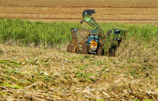 Exportações Brasileiras de Açúcar Caem 12% em Maio