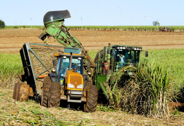 Resumo da Semana: Mercado de açúcar volta a respirar um pouco com decisão de aumento de mistura no Brasil