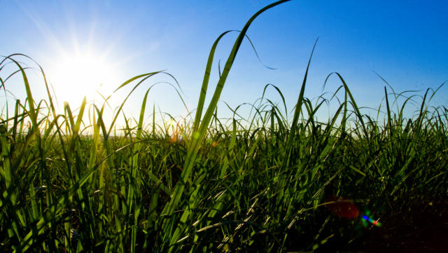 Câmara dos Deputados aprova projeto de lei Combustível