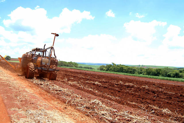 Índia autoriza cota de importação de 1 milhão de toneladas de açúcar isenta de tarifa