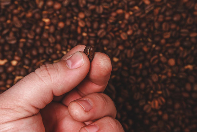 Ações do “Brazil. The Coffee Nation” na Ásia podem render até US$ 9,435 milhões ao setor de cafés especiais