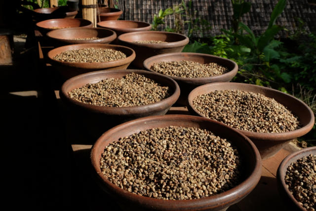 Porto de Barcelona terá terminal exclusivo para desembarques de café