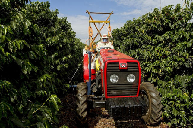 Café anota expressiva baixa na B3 e na Nymex na manhã desta 4ª feira