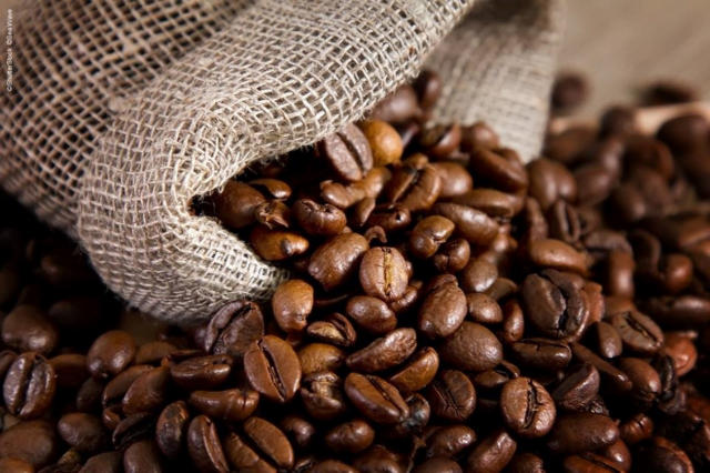 Brasil exporta 2,22 milhões de sacas de café verde em outubro