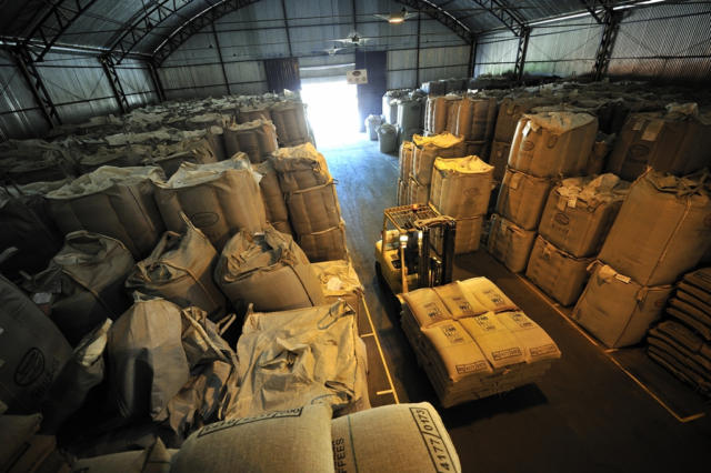 Café opera em baixa na B3 e na Nymex na manhã desta 2ª feira