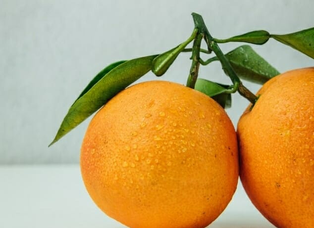 Temperaturas extremamente baixas geram forte preocupação ao setor citrícola da Flórida