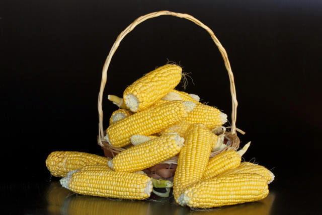USDA informa venda individual de 285 mil toneladas de milho para o México